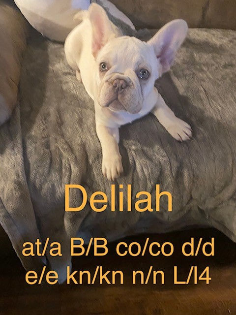 Delilah 1.4.23.jpeg