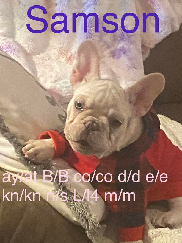 323437185_729112928633065_9039484026270512163_n.jpeg