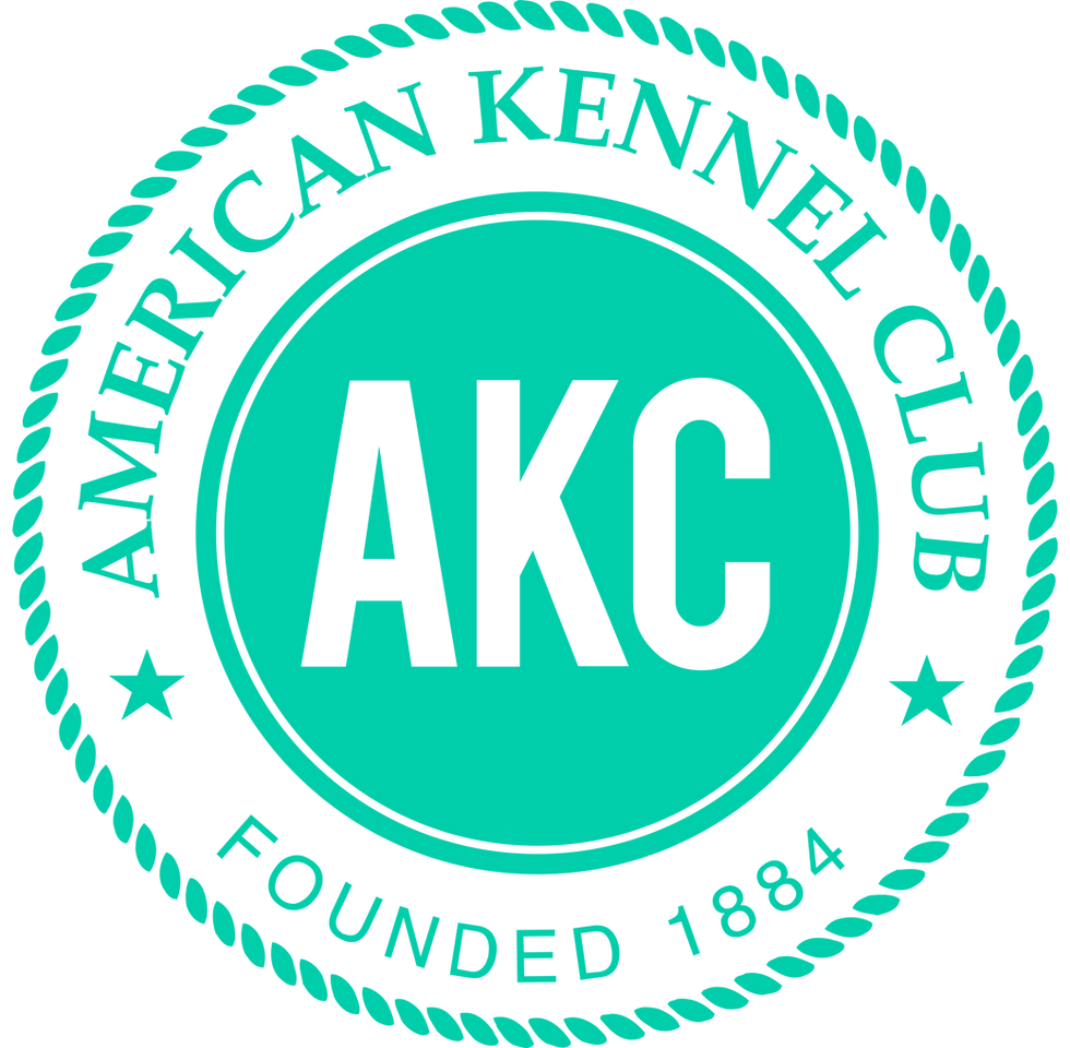 AMERICAN KENNEL CLUB 
