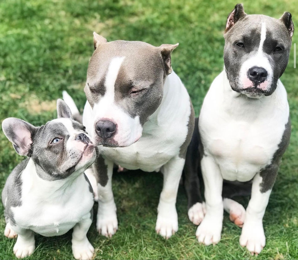 9D6EB66E-72AE-4317-9C51-CBEF856705FA.jpe