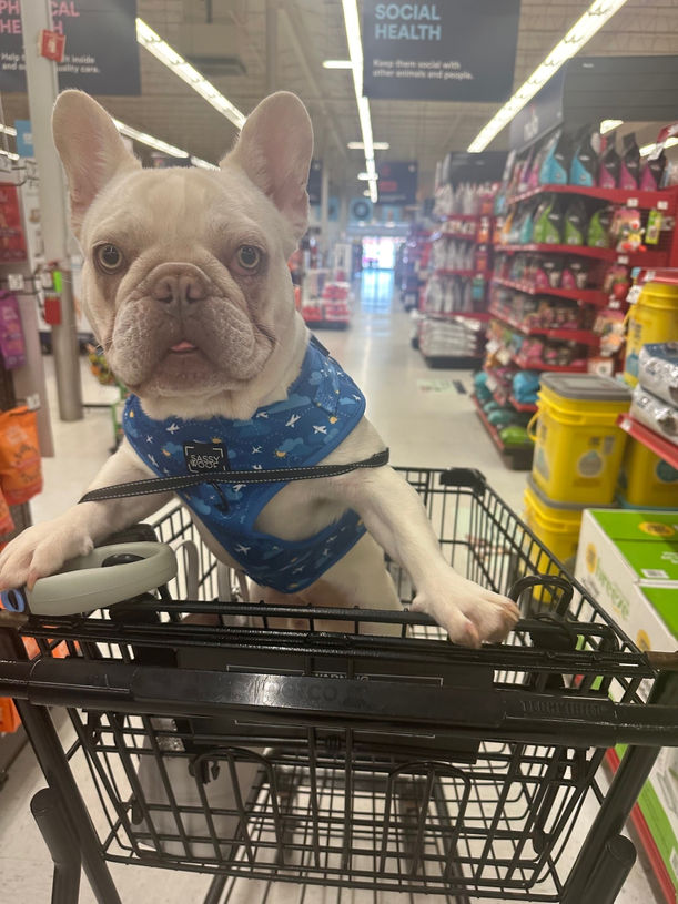 Samson Shopping.jpeg
