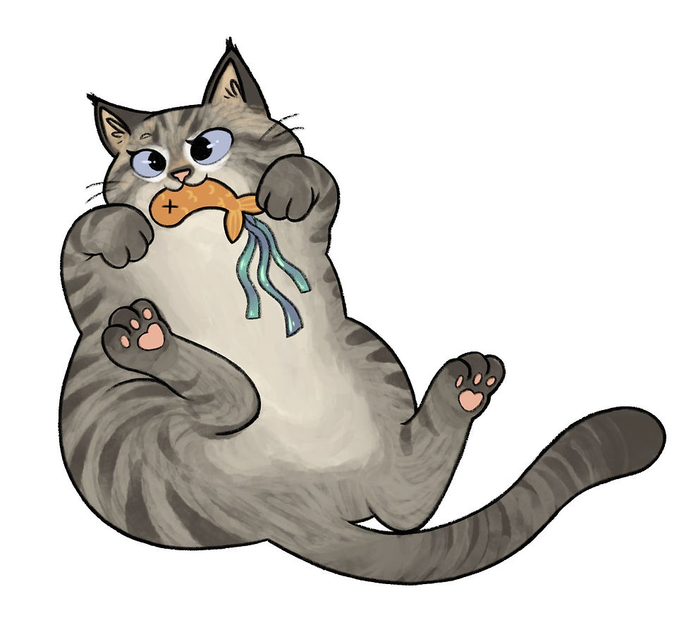 kitty