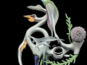 In Conversation: Marcos Micozzi on Sound, Memory, and Digital Residue