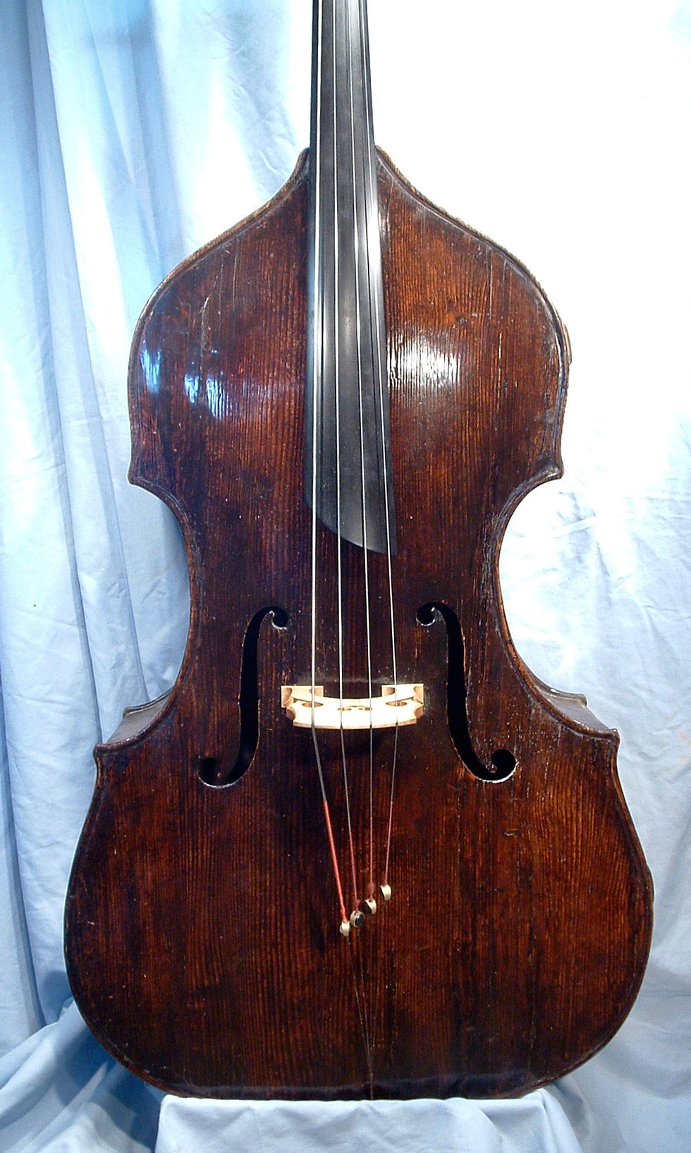 Pietro Pallotta Body