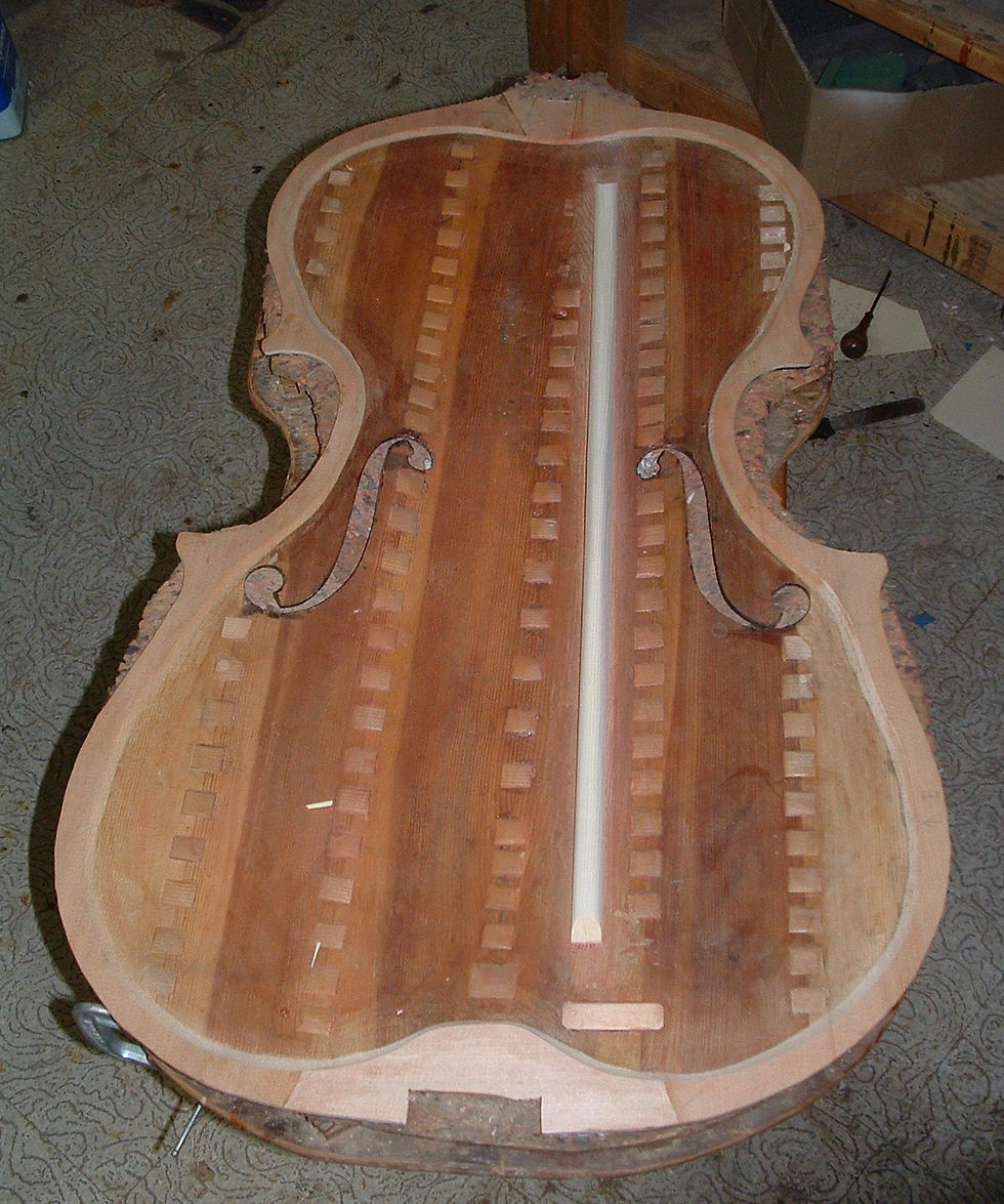 Malvolti Bassbar and Plate Re-edging