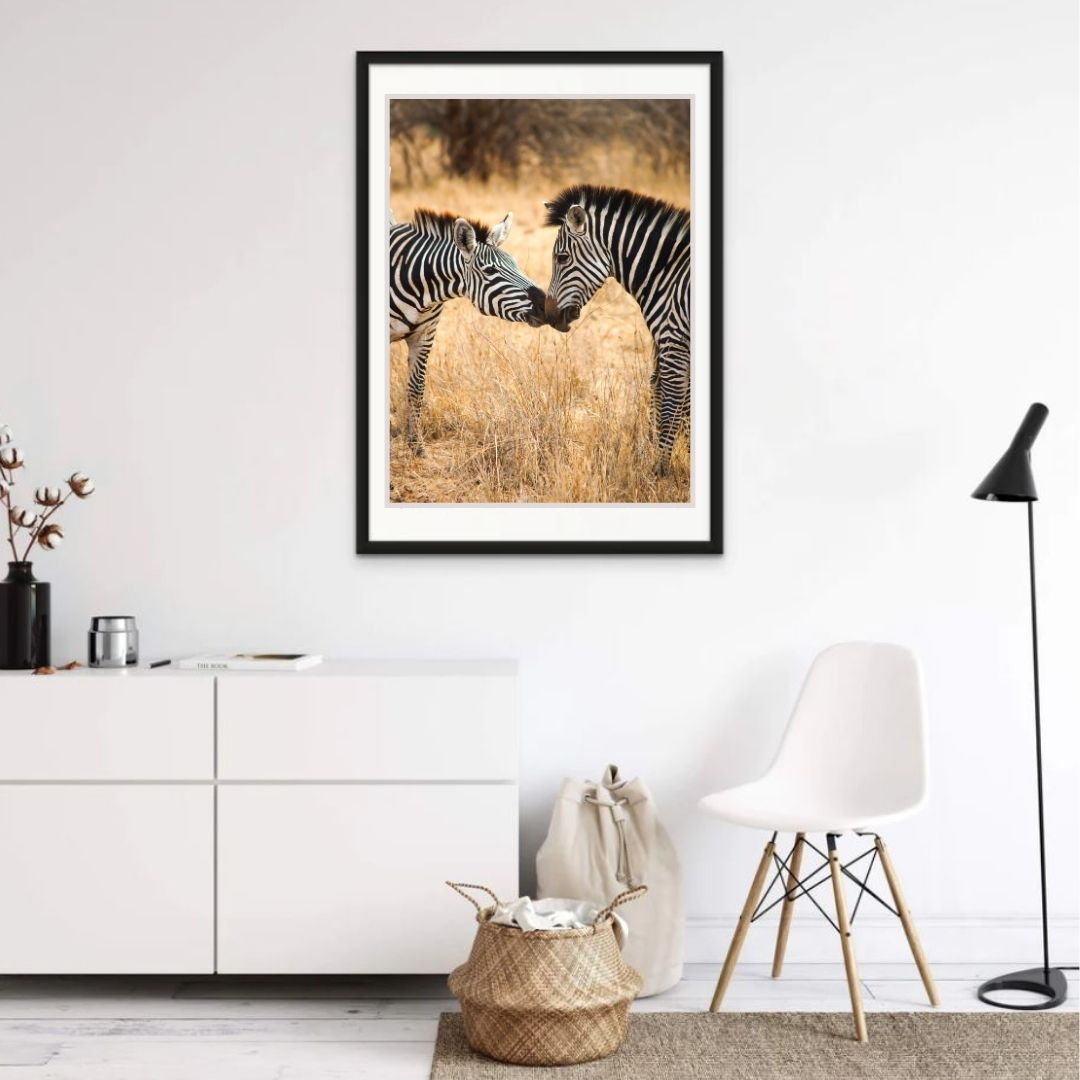 Poster ou Tableau alu dibond - Zebras