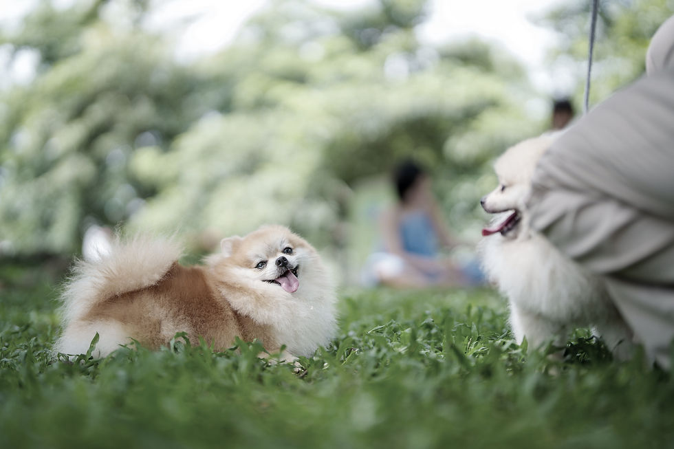 iStock-2172400266_edited.jpg