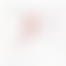 能登半島への支援のご報告