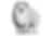 ChatGPT Image 2026年2月18日 19_44_57.png