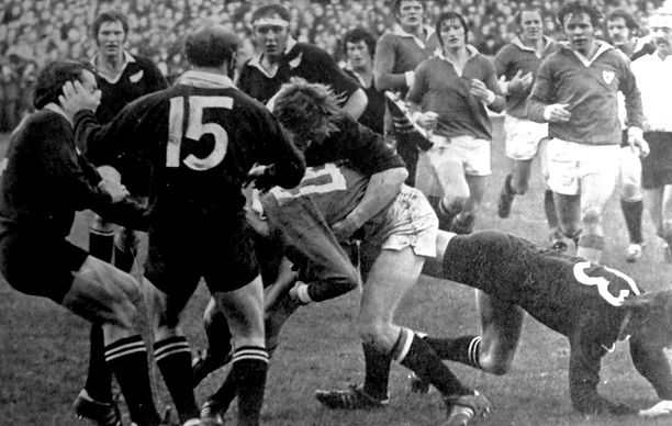 1972 LEINSTER - Twig_edited.jpg