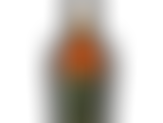 Bottle of Weller Special Reserve wheated bourbon with dark green label.