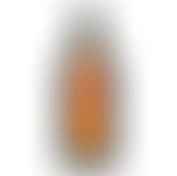 Pendleton Straight Bourbon whiskey bottle on black background, amber liquid, ornate glass, red label with 1910 and aged 10 years text