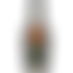 A bottle of Weller Special Reserve Bourbon with a green label and gold lettering, set against a plain background.