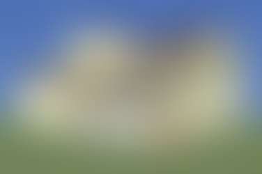 Building Hope, A New Home Project