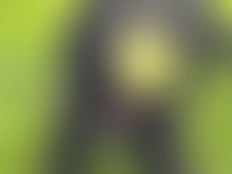 A black dog in the process of capturing a tennis ball