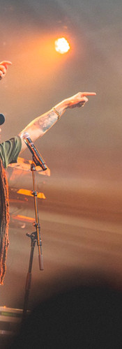  Alborosie © Wilfried Rion