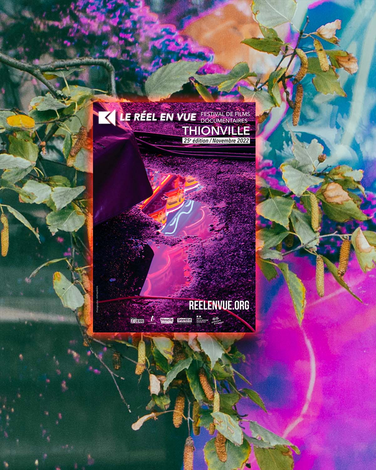 Affiche Insitu Le réel en Vue à Thionville 