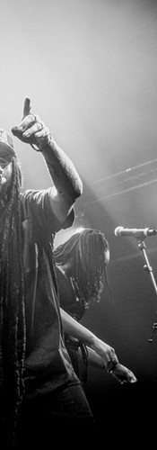  Alborosie © Wilfried Rion