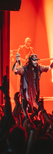  Alborosie © Wilfried Rion