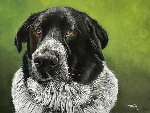 'Frodo'
Pasteltekening
(30 x 40)