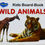 Thumbnail: Kids Board Book: Wild Animals