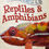 Thumbnail: 100 Facts - Reptiles & Amphibians