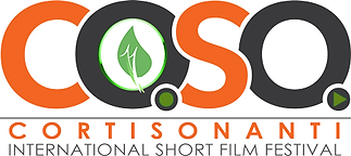 COSO-WEB (1).png