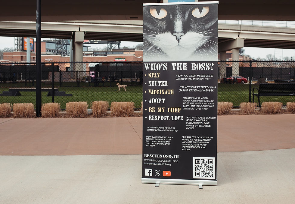 March 18, 2025 Event Location Photos