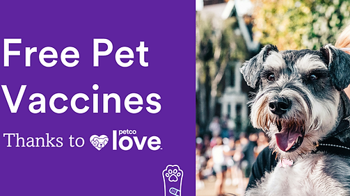 Copy of PL_NPVM_EmailWeb Banner-200x800-Vaccinated&Loved  (11).png