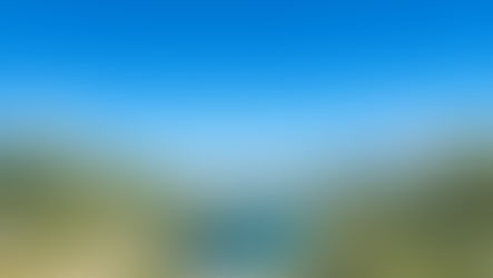 蔡小姐 - 靈氣遠程療癒