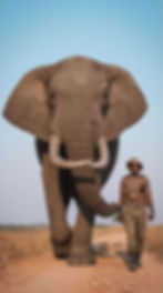 F6508923-97E4-4E2B-A089-D15B6CF39AE7.jpeg
