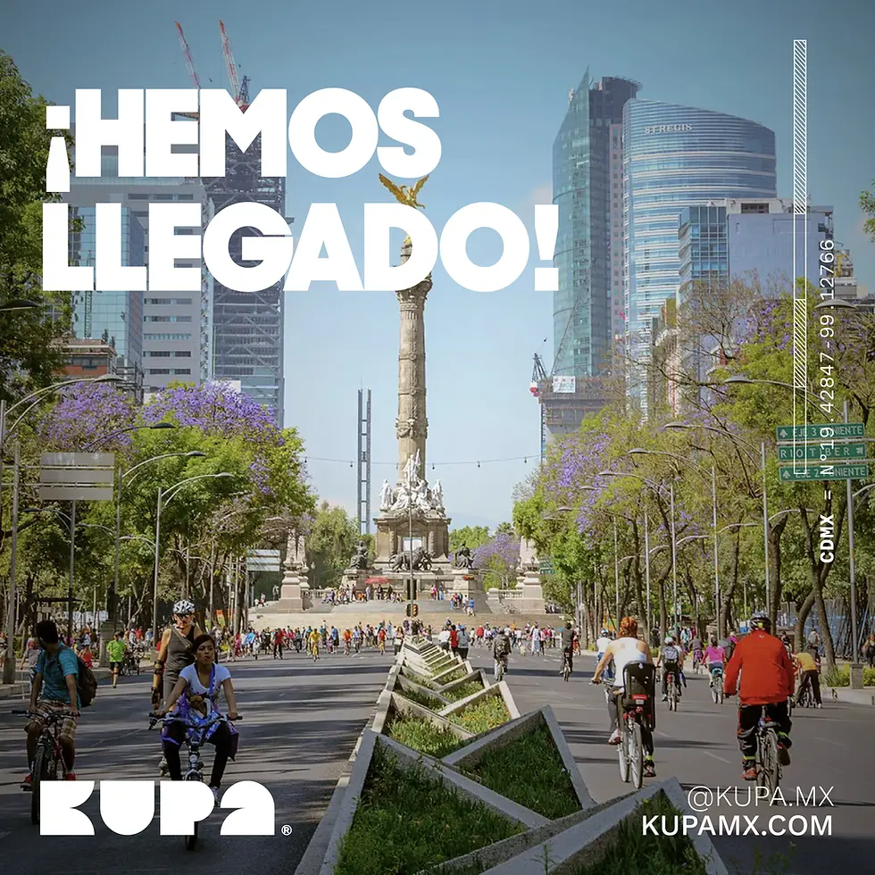 Propuesta Feed KUPA-13.webp