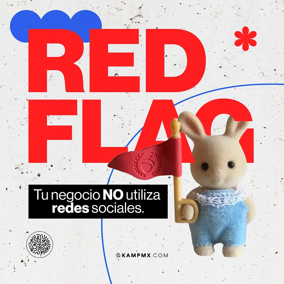 Parrilla Feed Kamp_Mesa de trabajo 1.webp