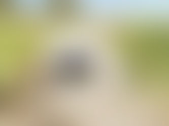 Ciclabile Quadraro, al via in primavera i lavori: «Così sarà riqualificato il sottopasso»