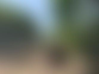 Avviata la bonifica dell'ex Mira Lanza dopo 73 anni di abbandono: nello stabile riqualificato arriverà uno studentato