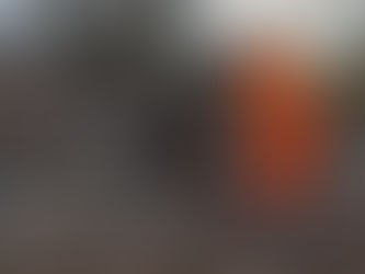 Avviata la bonifica della discarica abusiva in via di Ponte Mammolo, Gualtieri: «Rimuoveremo 500 tonnellate di rifiuti»