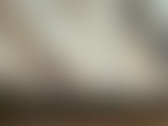 Incendio alla Pisana: fumo nero e fiamme vicino a un'azienda agricola