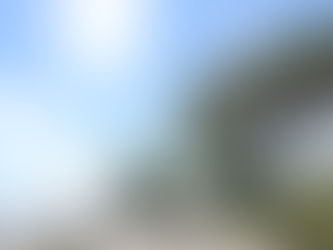 Bracciano: trovati in un ristorante escrementi di topi e cibi non tracciati