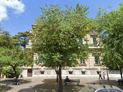 Arrivano 95 nuovi alberi in via Cola di Rienzo. Alfonsi: «Appena piantati assorbiranno 190 chili di CO2 all'anno»