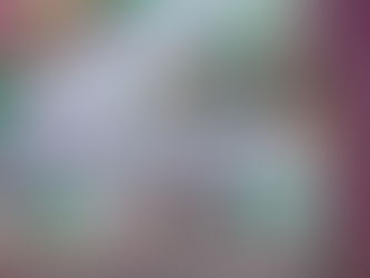 Cohousing per anziani, Casa Nino compie due anni: "Modello valido"