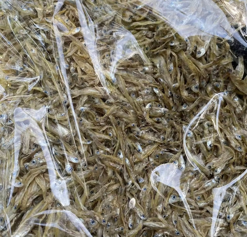 ภาพขนาดย่อ: ปลาลูกเบร่อบกรอบ 100g
