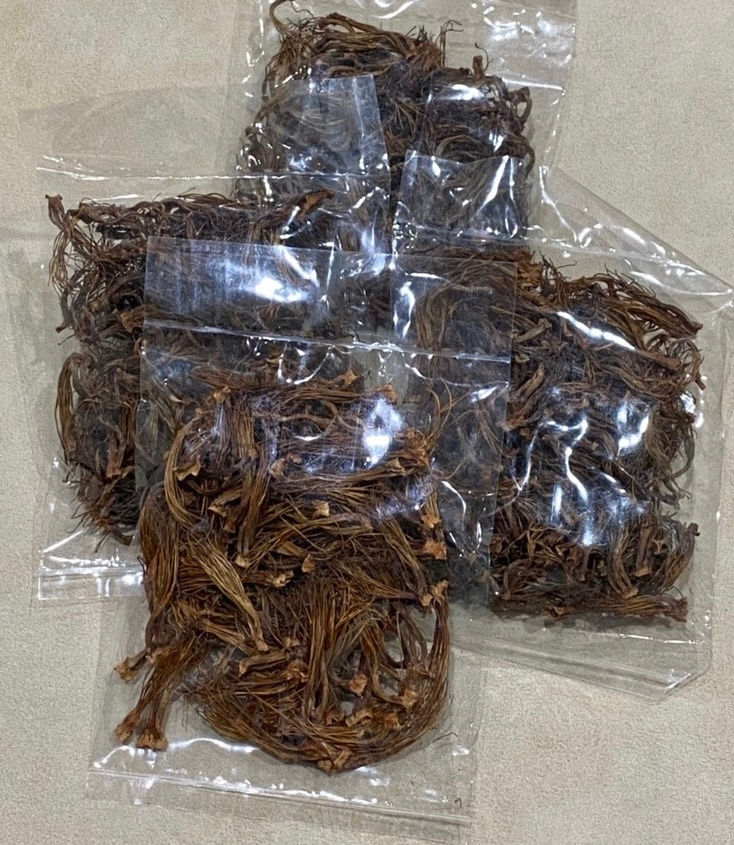 Thumbnail: Dried cotton flowers