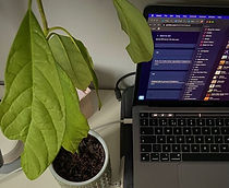 WhatsApp Image 2025-10-24 at 18.02_edited.jpg