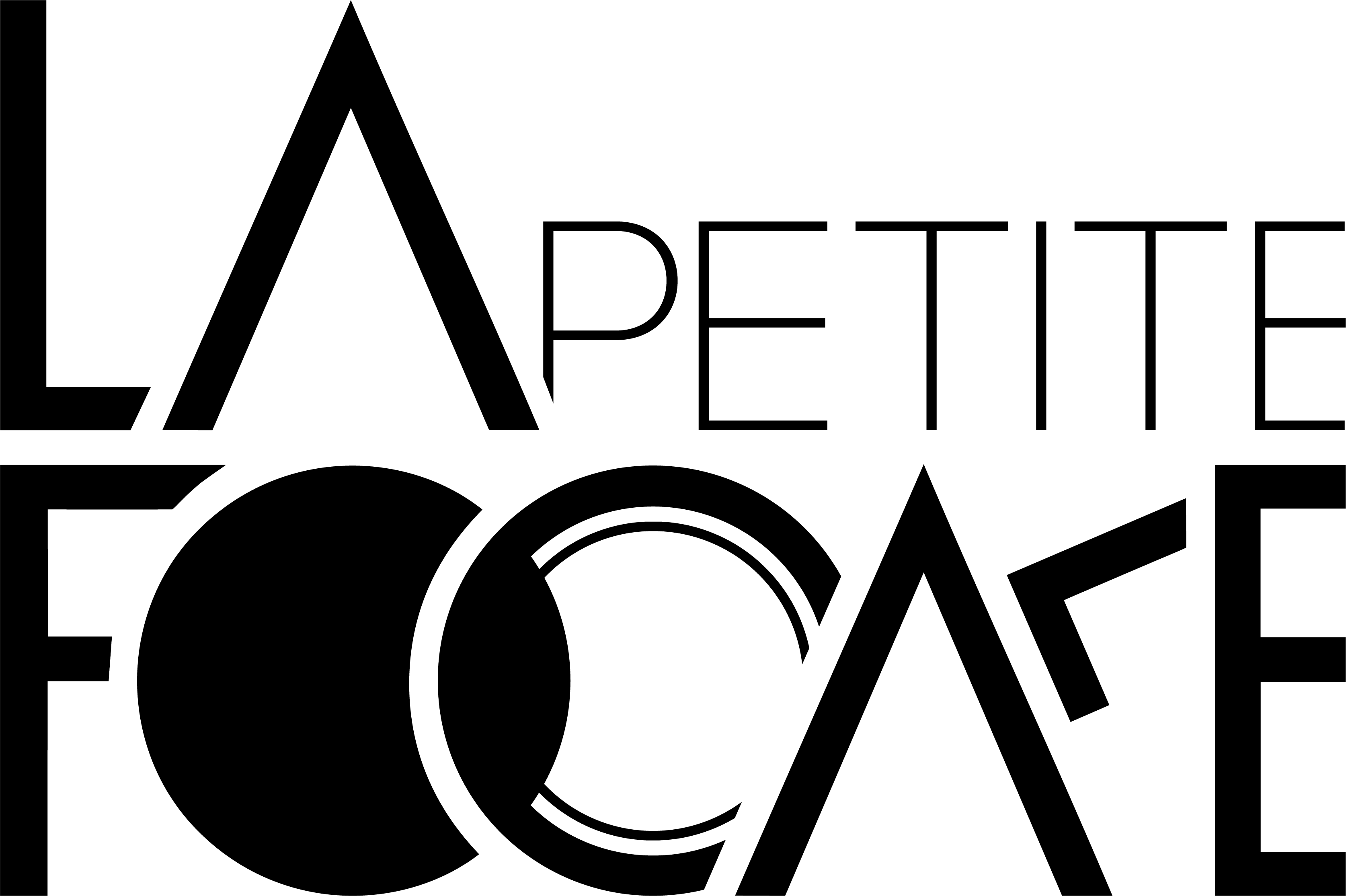 LPF_logo rectangle_NOIR.png