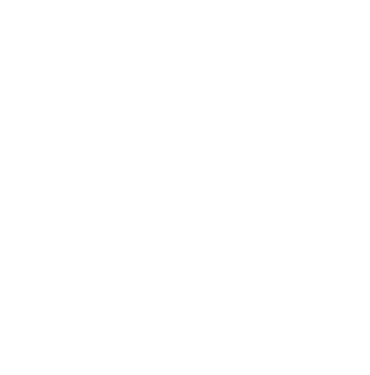 Logo L'embout Stella pour cannes et béquilles