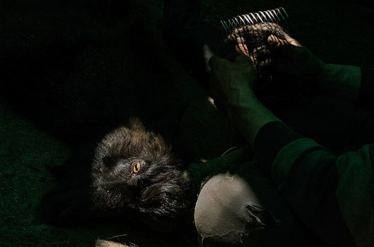 © Daniela Sala