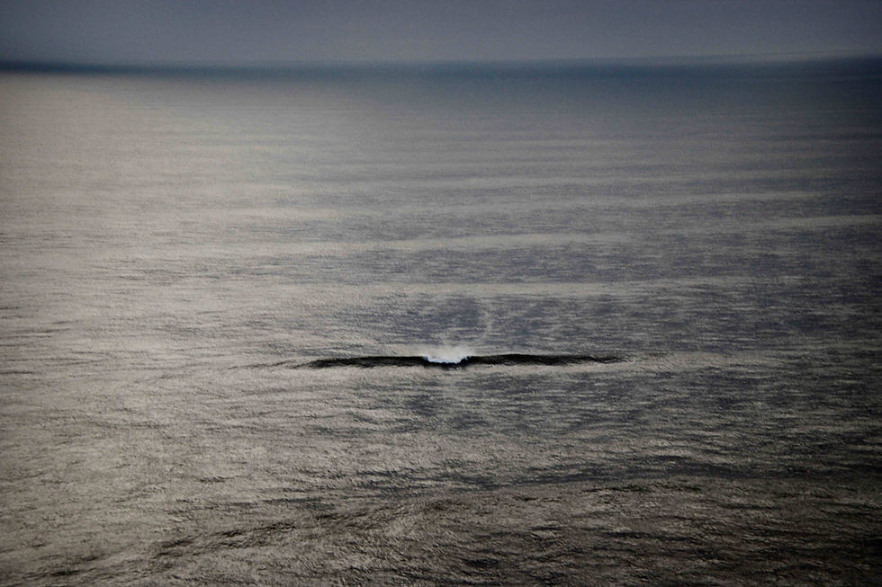© Jean Gaumy