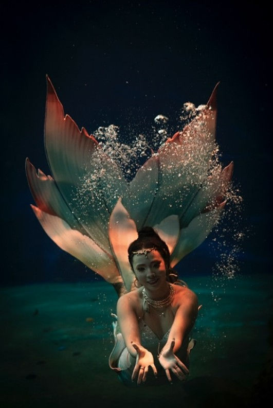 © Virginie Seiller