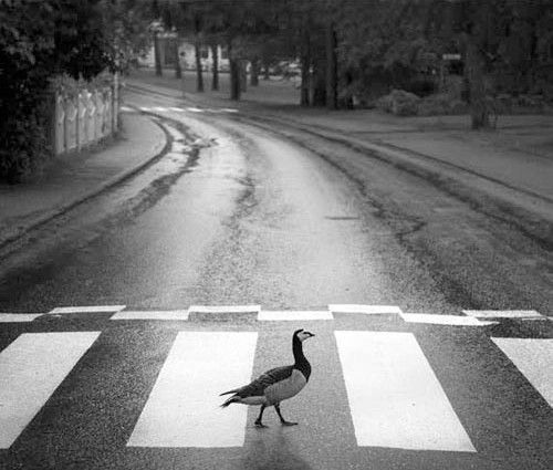 © Pentti Sammallahti
