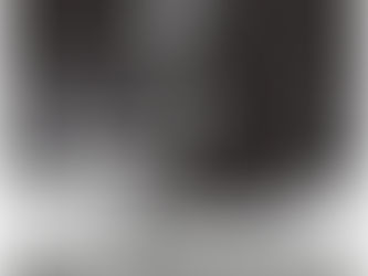 L'OEIL DE ROGER CORBEAU